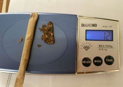 PM aprende dupla com maconha em Matinhos